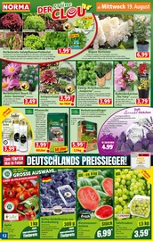 Dünger im Norma Prospekt in Filderstadt Aktueller Norma Prospekt mit Dünger, "Mehr fürs Geld", Seite 12
