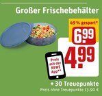 Aktuelles Großer Frischebehälter Angebot bei REWE in Siegen (Universitätsstadt) ab 13,90 €