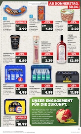 Aktueller Kaufland Prospekt mit Mineralwasser, "Aktuelle Angebote", Seite 19