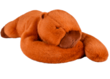 Peluche Capybara Podcoll - HISTOIRE D'OURS à 29,99 € dans le catalogue La Grande Récré