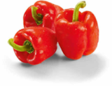 Paprika rot im Angebot bei Netto Marken-Discount in Voerde Paprika rot Angebote bei Netto Marken-Discount Voerde für 1,35 €
