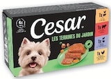 Super U Pouxeux - Promo Repas Humide pour Chien Promo Repas Humide pour Chien à 2,59 € dans le catalogue Super U à Pouxeux