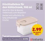 Aktuelles Frischhaltebox für den Kühlschrank Angebot bei Penny in Celle ab 2,99 €