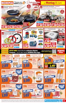 Tierbedarf Angebot im aktuellen Norma Prospekt auf Seite 6