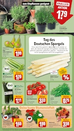 Ähnliche Angebote wie Stiefmütterchen im Prospekt "Dein Markt" auf Seite 7 von REWE in Mainz