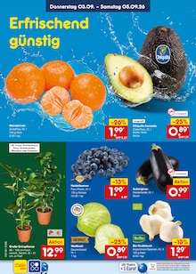 Bier im Netto Marken-Discount Prospekt "Aktuelle Angebote" mit 70 Seiten (Mönchengladbach)