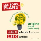Promo Plants de tomate mixte population à 3,40 € dans le catalogue So.bio à Cabriès
