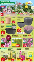 Blumenerde Angebot im aktuellen Thomas Philipps Prospekt auf Seite 8