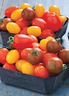 Tomate cerise - INTERMARCHÉ TERROIRS dans le catalogue Intermarché Super