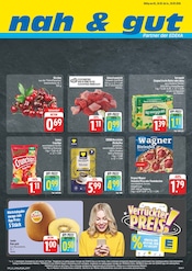 nah und gut Supermarkt Prospekt der aktuellen Woche mit 8 Seiten, gültig von 26.05.2026 bis 30.05.2026, in Eibenstock und Umgebung Aktueller nah und gut Supermarkt Prospekt in Eibenstock und Umgebung, "Wir lieben Lebensmittel!" mit 8 Seiten, 26.05.2026 - 30.05.2026