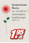 Möbel AS Ranschbach - Gartenstecker Blume Angebot im Prospekt Gartenstecker Blume bei Möbel AS im Ranschbach Prospekt für 1,95 €
