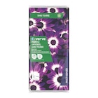 Terreau universel sans tourbe Verve 40 L - Verve - Castorama à Montreuil Terreau universel sans tourbe Verve 40 L - Verve en promo chez Castorama Montreuil à 3,99 €