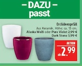Orchideengefäß Angebote bei Marktkauf Erlangen für 2,99 €