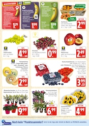 Bio im E center Prospekt in Rostock Aktueller E center Prospekt mit Bio, "Top Angebote", Seite 6