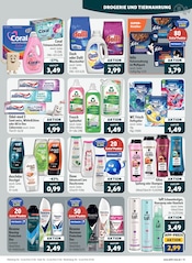 Shampoo im aktiv & irma Prospekt in Oldenburg Aktueller aktiv & irma Prospekt mit Shampoo, "Top Angebote", Seite 13