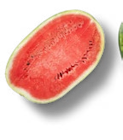 Ital./griech. Wassermelone XXL im Kaufland Prospekt Ital./griech. Wassermelone XXL im aktuellen Kaufland Prospekt für 6,99 €