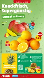 Aktueller Penny Prospekt mit Ananas, "Wer günstig will, muss Penny.", Seite 4