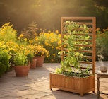 Bac avec treillis - PARKSIDE en promo à 24,99 € chez Lidl Bac avec treillis - PARKSIDE dans le catalogue Lidl