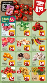 Äpfel im aktuellen REWE Prospekt (Mainz) Äpfel im REWE Prospekt "Dein Markt" mit 16 Seiten (Mainz)