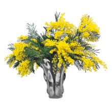 Aldi Maubeuge - BOUQUET DE MIMOSA Promo BOUQUET DE MIMOSA dans le catalogue Aldi "Place au nouveau consommateur" à Maubeuge