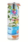 Wasserpflanzen im Glas Angebot in Bad Friedrichshall Wasserpflanzen im Glas im aktuellen Prospekt bei Lidl in Bad Friedrichshall