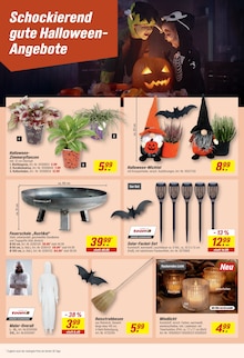 Aktueller toom Baumarkt Prospekt "Respekt, wer's selber macht." Aktueller toom Baumarkt Prospekt