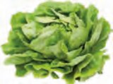 Pilz-Bällchen im Angebot bei EDEKA in Stade Pilz-Bällchen Angebote von Mush Roots bei EDEKA Stade für 2,99 €