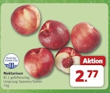combi Damme - Nektarinen Angebot im Prospekt Nektarinen bei combi im Damme Prospekt für 2,77 €