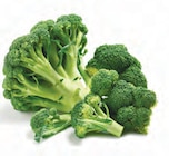 Netto mit dem Scottie Neubrandenburg - Deutscher Broccoli Angebot im Prospekt Deutscher Broccoli bei Netto mit dem Scottie im Neubrandenburg Prospekt für 1,39 €