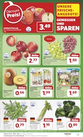 Kiwi im combi Prospekt in Paderborn Aktueller combi Prospekt mit Kiwi, "Markt - Angebote", Seite 3