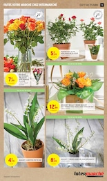 Offre Plante En Pot dans le catalogue Intermarché du moment à la page 11