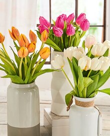 Tulpen-Sortiment bei ALDI SÜD in Bocholt Tulpen-Sortiment im Angebot bei ALDI SÜD Bocholt für 1,79 €