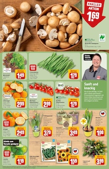 Staubsauger im REWE Prospekt "Dein Markt" mit 30 Seiten (Düsseldorf)