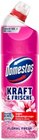 WC-Gel Kraft & Frische Ocean Fresh im Angebot bei Kaufland in Wiesbaden WC-Gel Kraft & Frische Ocean Fresh Angebote von Domestos bei Kaufland Wiesbaden für 1,59 €