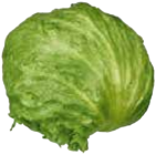 EDEKA Frischemarkt Jeshop - Eisbergsalat Angebot im Prospekt Eisbergsalat bei EDEKA Frischemarkt im Jeshop Prospekt für 0,69 €