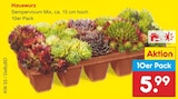 Hauswurz Sempervivum Mix bei Netto Marken-Discount im Neuhausen Prospekt für 5,99 €