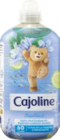Adoucissant Concentré - CAJOLINE en promo chez Aldi Adoucissant Concentré - CAJOLINE dans le catalogue Aldi