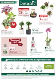 Prix et réduction Orchidée dans le prospectus Botanic en cours Offre Orchidée dans le catalogue Botanic du moment à la page 10