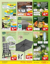 Aktueller Netto Marken-Discount Prospekt mit Sitzkissen, "Aktuelle Angebote", Seite 31