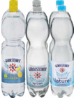 Aktuelles Mineralwasser oder Nearwater Angebot bei Netto Marken-Discount in Hamburg ab 1,09 €