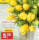 Großbund Tulpen Angebote bei Netto Marken-Discount Celle für 5,55 €