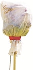 Winterschlauchvlies für 1,99 € bei Thomas Philipps im Angebot Winterschlauchvlies im aktuellen Thomas Philipps Prospekt