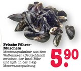 Aktuelle Fisch Angebote bei E center in Mainz Aktuelles Frische Föhrer-Muscheln Angebot bei E center in Mainz ab 5,90 €