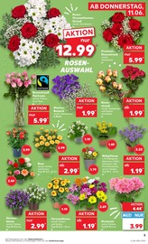 Deko im Kaufland Prospekt in Grevenbroich Aktueller Kaufland Prospekt mit Deko, "Hier bin ich richtig", Seite 14