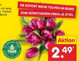Tulpen Angebote bei Netto Marken-Discount Seevetal für 2,49 €