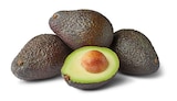 Avocado angereift von Marktliebe im aktuellen Penny Prospekt