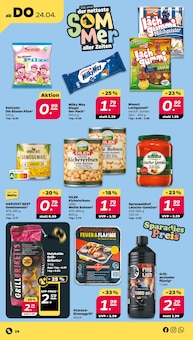 Grillbriketts Angebot im aktuellen Netto mit dem Scottie Prospekt auf Seite 24