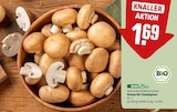 Braune Bio Champignons Angebote von REWE Bio bei REWE Fürth für 1,69 €