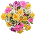 Nelken-Sprayrosenstrauß bei Kaufland im Reiser Prospekt für 5,99 €