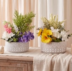 Pot multifleurs - Gifi à Besançon Pot multifleurs en promo chez Gifi Besançon à 9,90 €